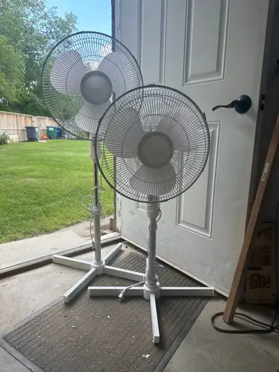  Two fans, height adjustable , oscillating 