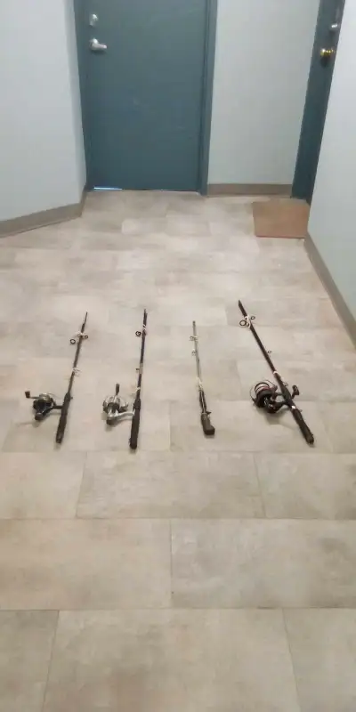 4 rods of varying strength. 3 reels. One net. This goes as a package.
