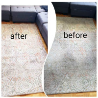Carpet & Rug Cleaner (Free Sample)