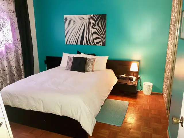 À louer: 4 1/2 à Longueuil in Long Term Rentals in City of Montréal - Image 7