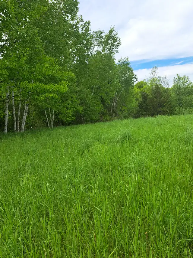 34.86 ACRES  GREEN SPRAWLING LAND WITH FLOWING RIVER HYDRO63417674035201123