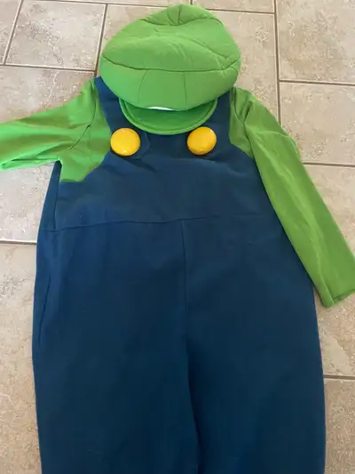 Luigi costume , View more
