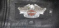 Black Harley-Davidson leather chaps