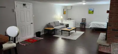 A spacious room with private bathroom in the basement ( 350sqft.). The room furnished with a bed, dr...