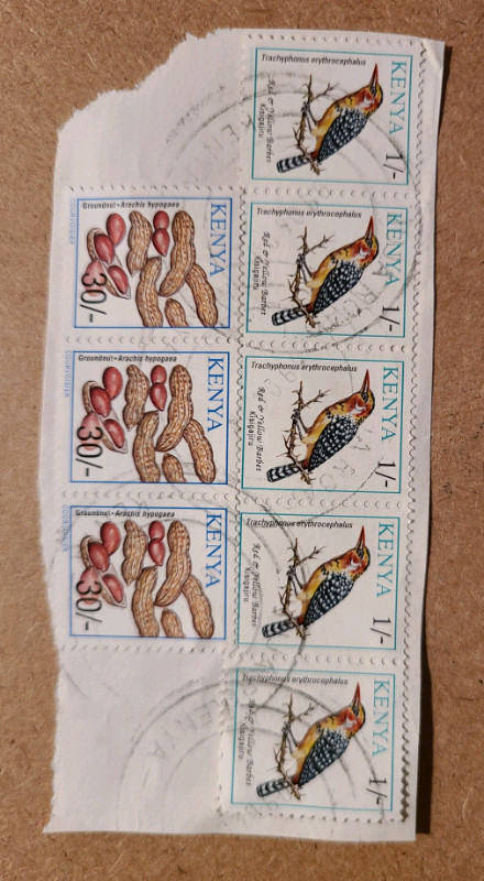 Kenya stamps - used 
Barbet/Groundnut  in Arts & Collectibles in Kitchener / Waterloo - Image 3