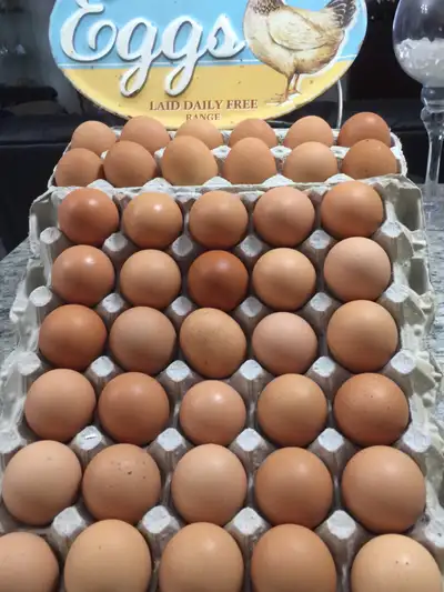 Free  Range Farm Eggs !!!, View more