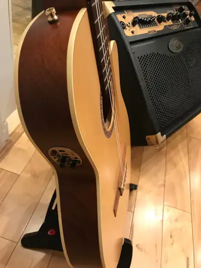 Godin Classical Guitar, View more