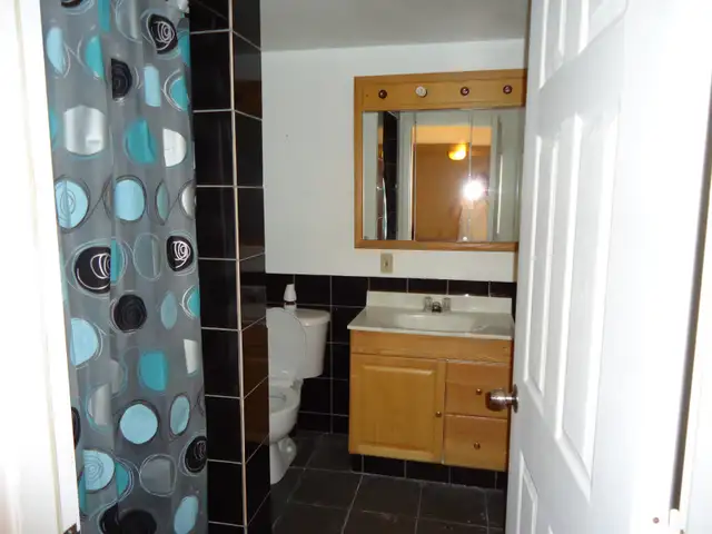 Apartment one bedroom lower unit Fort Erie63235805168257124