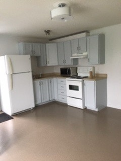 One furnished bedroom apartment for rent 4