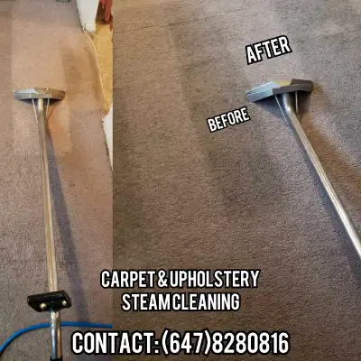 We Steam (Carpet,Rug,Sofa&More Cleaning) 