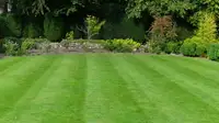 Lawn mowing services / grass cutting in Georgetown