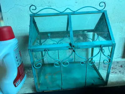 Glass Terrarium, View more