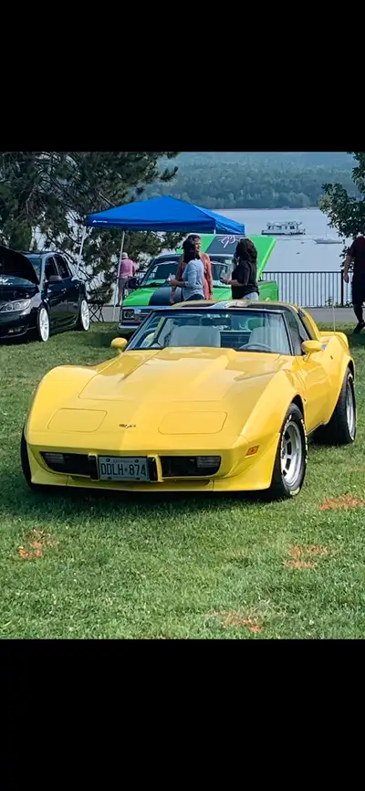 1979 corvette with 120000 km has new retro stereo and speakers , new plugs new oil , new clock more...