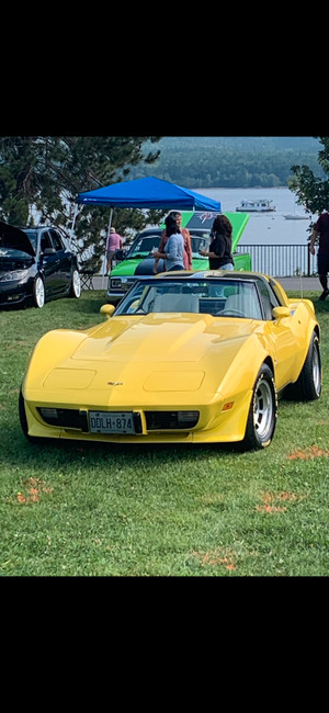1979 Chevrolet Corvette Yellow with Perl interior