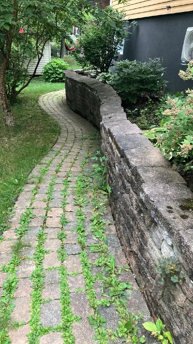 repair construction of paving and wall, earthworks62863246871683122