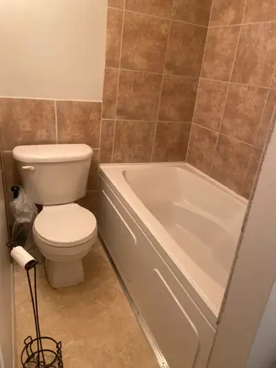 1 Bedroom basement suite with large windows.