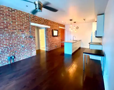 3-1/2 for rent Old Montreal July 1 or sooner