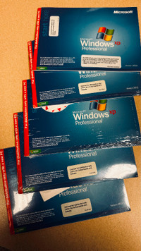 Brand New in the wrapper - Windows XP licenses