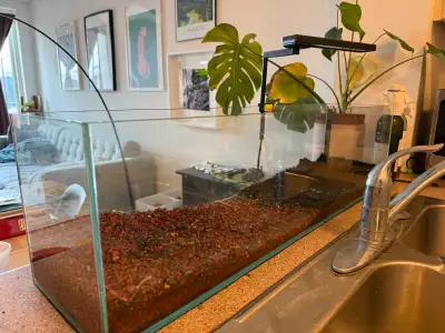 12 Gallon Rimless Bookshelf Aquarium, View more