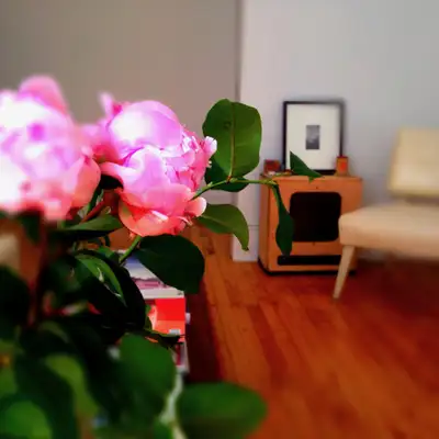 Cœur du Plateau • Chambre meublée • Lumineuse • *Disponible à partir de JANVIER*. Toutes charges com...