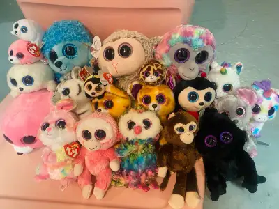 Collection of Beanie Boos, Pet free home, most still have original tags. Pickup and cash.