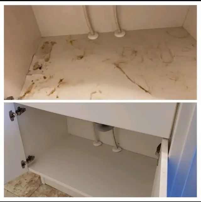 Handyman, General Contractor62864354768003122