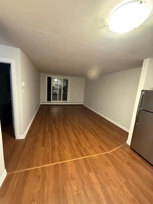 Spacious 1-Bedroom Apartment