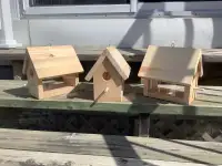 Petite cabane à oiseaux 