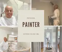 Painter HethSem