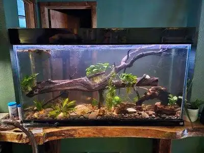 60 gallon aquarium , View more