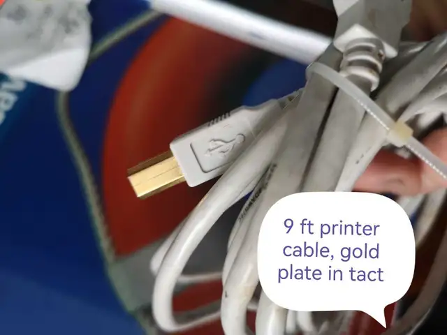 Printer Cable 9ft in Cables & Connectors in Calgary - Image 3