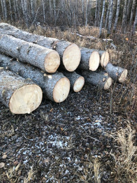 9pcs spruce log's