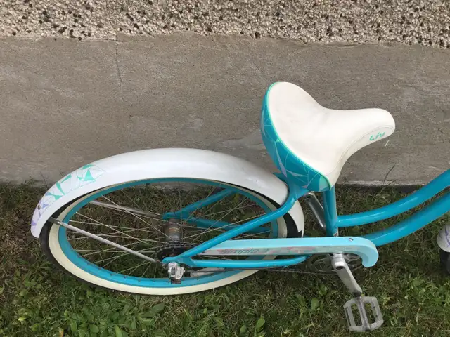 Woman’s cruiser bike. in Cruiser, Commuter & Hybrid in Sudbury - Image 7