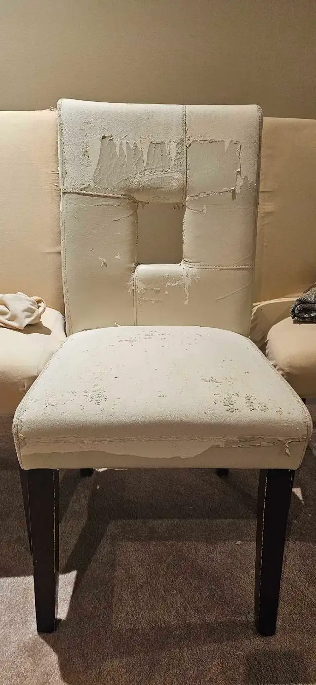 Dining Chairs in Chairs & Recliners in Ottawa - Image 3