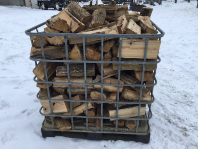 Dry firewood in Fireplace & Firewood in Belleville - Image 2