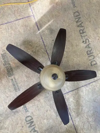 Light & Ceiling Fan, View more