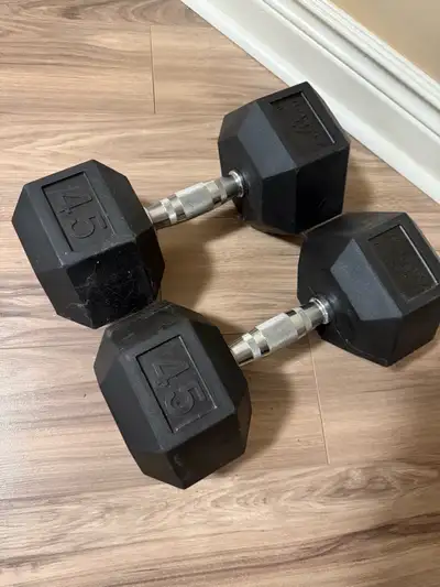 Pair of 45 lb Dumbbells, View more