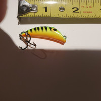 Canadian Wigglers, 2 inch size, various finishes