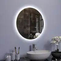 Project Source LED Round Mirror - 28-in