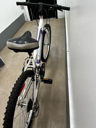 Bicycle size 24, View more