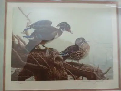 1990 Ducks Unlimited "Wood Ducks-Spring Mist" Michael Dumas, View more