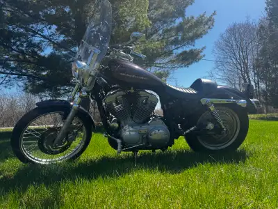 2006 Harley Davidson Sportster Custom 883 for sale. Runs great, sounds great. Quick disconnect winds...