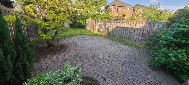 Grass cutting service in Peel and Halton region in Lawn, Tree Maintenance & Eavestrough in Mississauga / Peel Region - Image 8