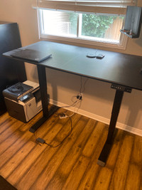 Dual Motor Electric Standing Height Desk