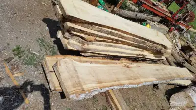 Help Wanted @ Treehugger Sawmill , View more