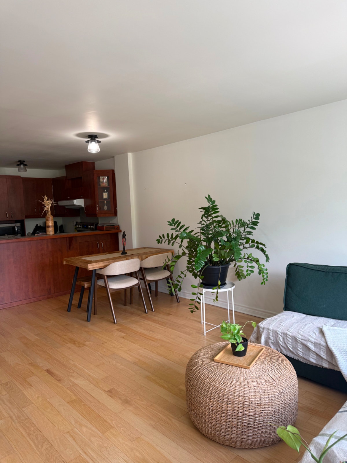 Appartement 1 chambre dans un secteur recherché  ! — photo 2