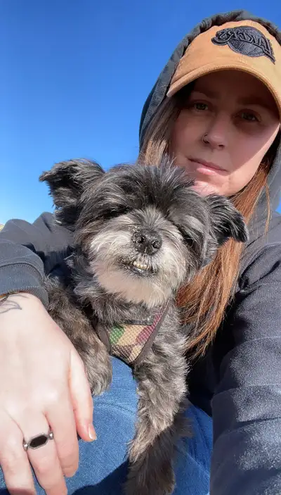 Experienced Dog Walker/ Pet Sitter, View more