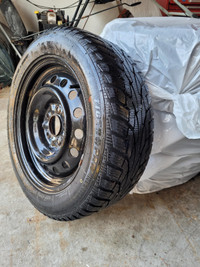 205/55 R16 Uniroyal Tiger Paw Ice and Snow - 4 on Rims