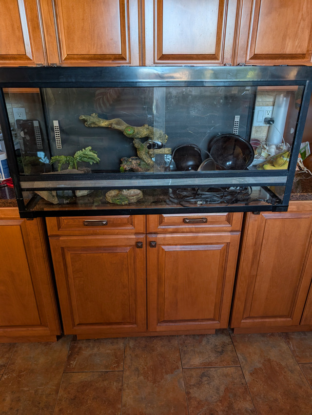 Bearded dragon aquarium in Reptiles & Amphibians for Rehoming in Oshawa / Durham Region