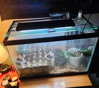 Aquarium With Accessories, View more